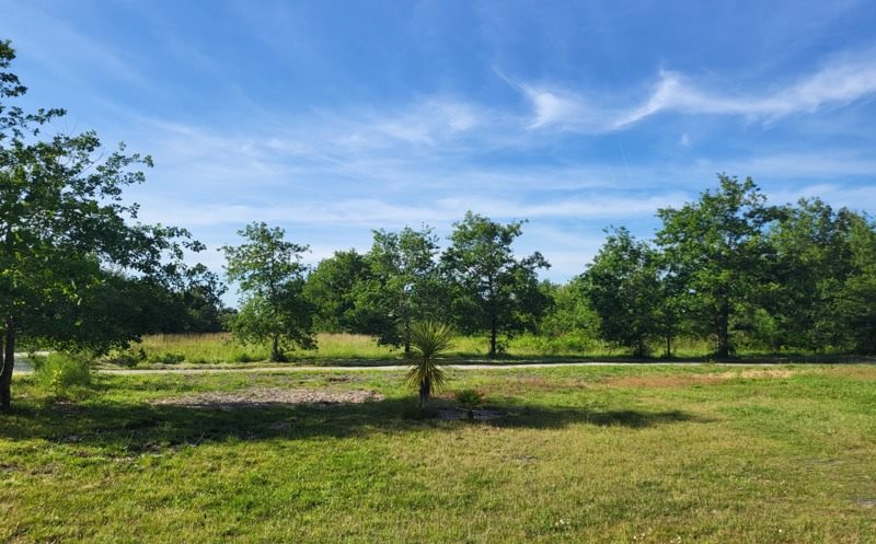 Vente Terrain LUGOS - -628 m² - (33830)