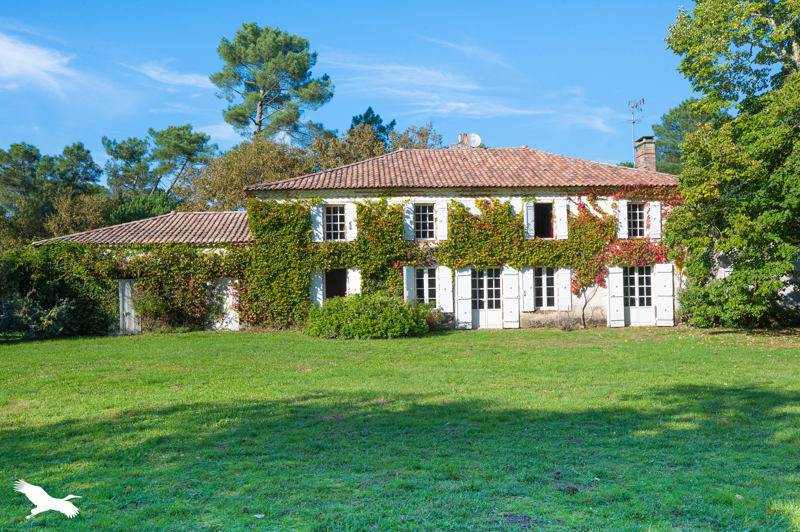 Vente Maison SAUGNACQ ET MURET 40410 7 pièces - 339 m²