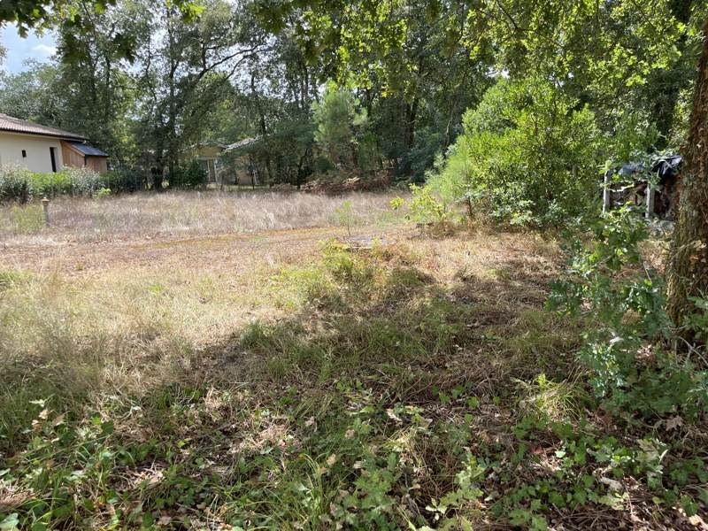 Terrain · à Salles · 185 300 €
