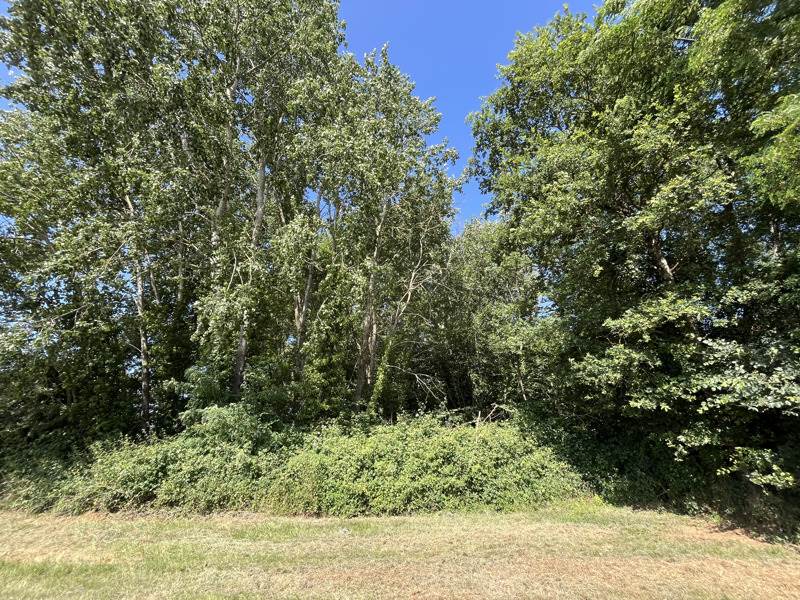 Vente Terrain SORIGNY - -1608 m² - (37250)