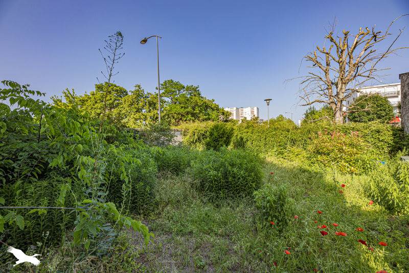 Vente Maison ST PIERRE DES CORPS - 6 pièces -143 m² - (37700)