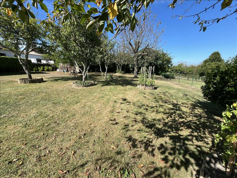 Vente Terrain CHAMPNIERS - -624 m² - (16430)