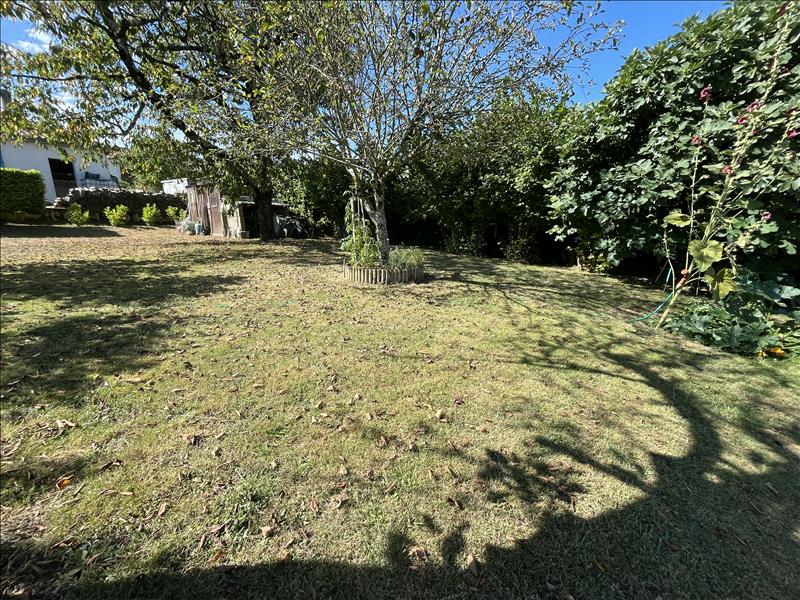 Vente Terrain CHAMPNIERS - -624 m² - (16430)