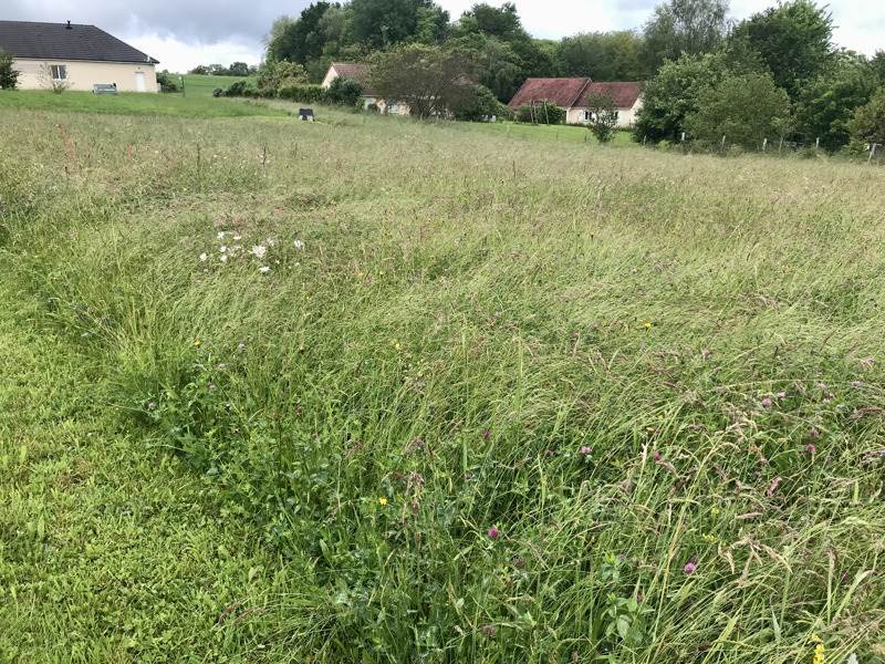 Vente Terrain LUBERSAC - -2250 m² - (19210)