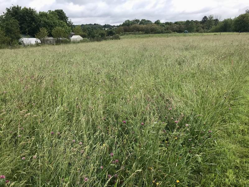 Vente Terrain LUBERSAC - -2250 m² - (19210)