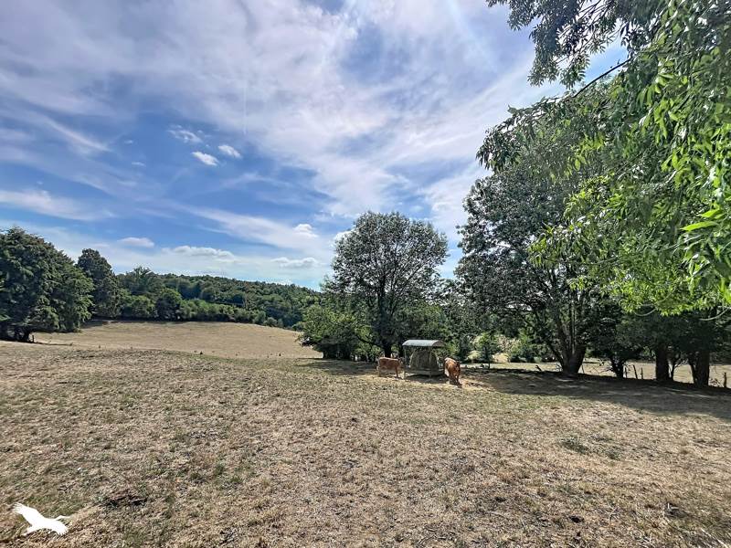 Vente Maison LUBERSAC - 3 pièces -78 m² - (19210)