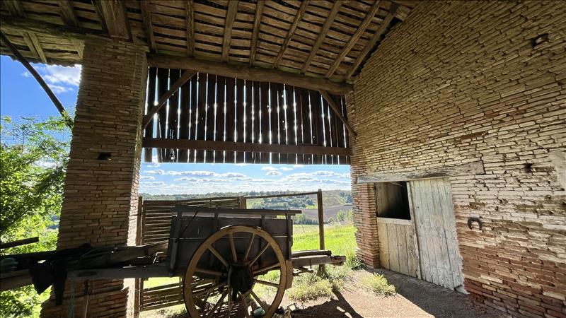 Vente Château LA SALVETAT BELMONTET - 11 pièces -380 m² - (82230)