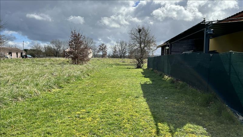 Vente Terrain NEGREPELISSE - -1326 m² - (82800)