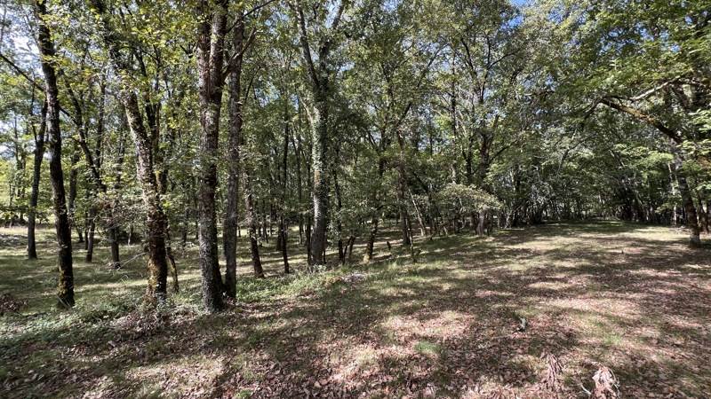 Vente Grange PENNE - - - (81140)