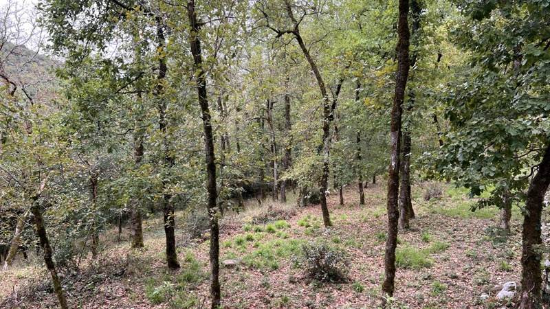 Vente Grange PENNE - - - (81140)