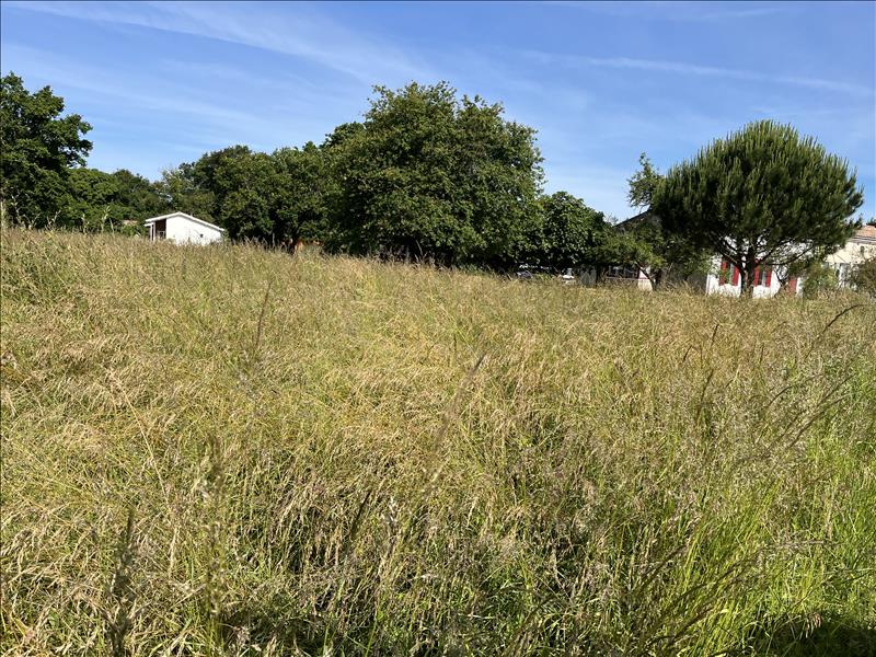 Vente Terrain GRAYAN ET L HOPITAL - -1432 m² - (33590)