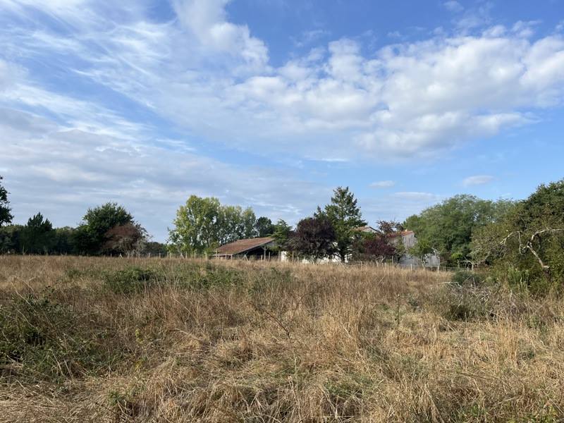Vente Terrain GRAYAN ET L HOPITAL - -2231 m² - (33590)