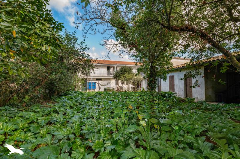 Vente Maison LE VERDON SUR MER - 9 pièces -196 m² - (33123)