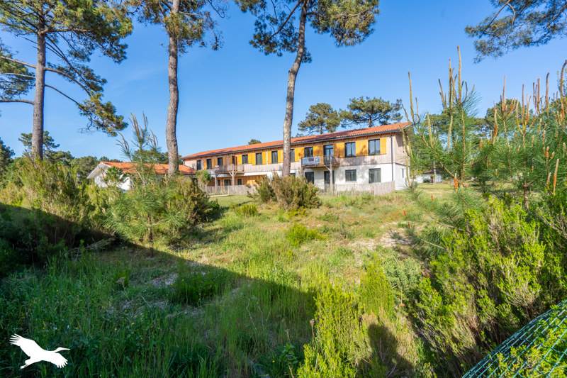 Vente Appartement VENDAYS MONTALIVET - 3 pièces -55 m² - (33930)