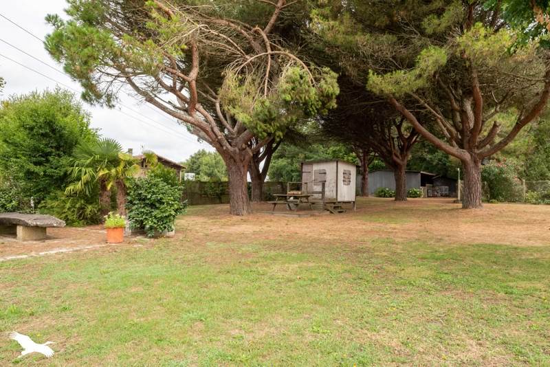 Vente Maison HAGETMAU - 6 pièces -157 m² - (40700)