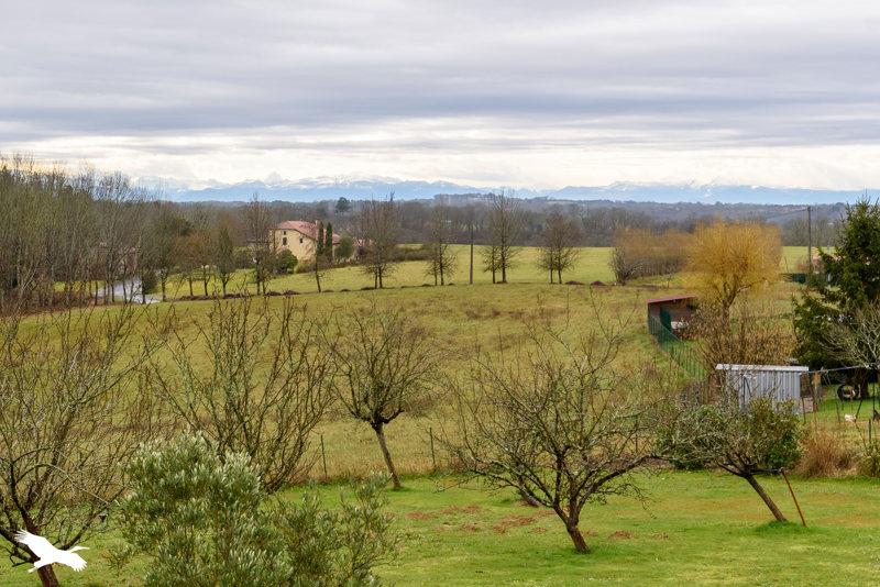 Vente Maison LACRABE - 5 pièces -104 m² - (40700)