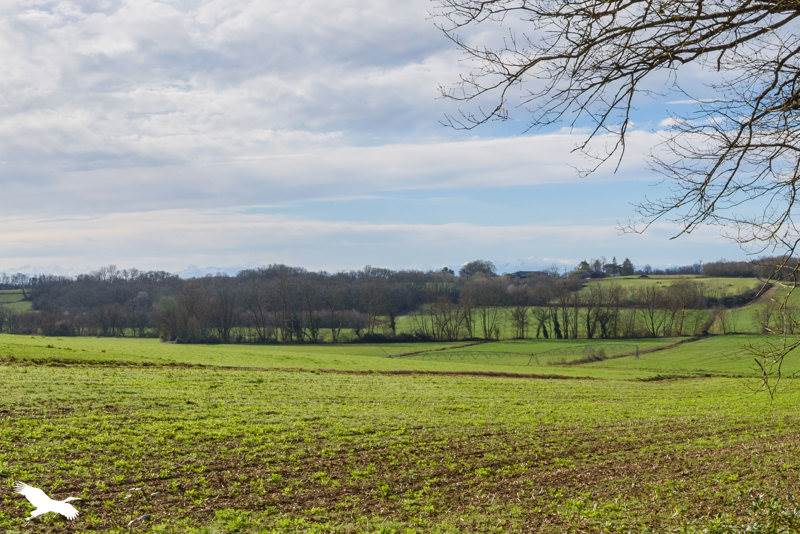 Vente Maison SERRESLOUS ET ARRIBANS - 7 pièces -196 m² - (40700)