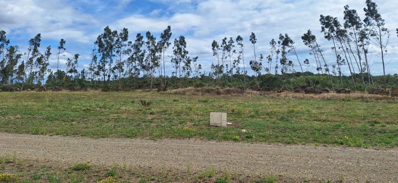 Vente Terrain BATS - -969 m² - (40320)