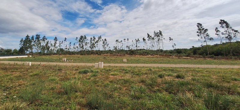 Vente Terrain BATS - -908 m² - (40320)