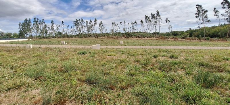 Vente Terrain BATS - -1133 m² - (40320)