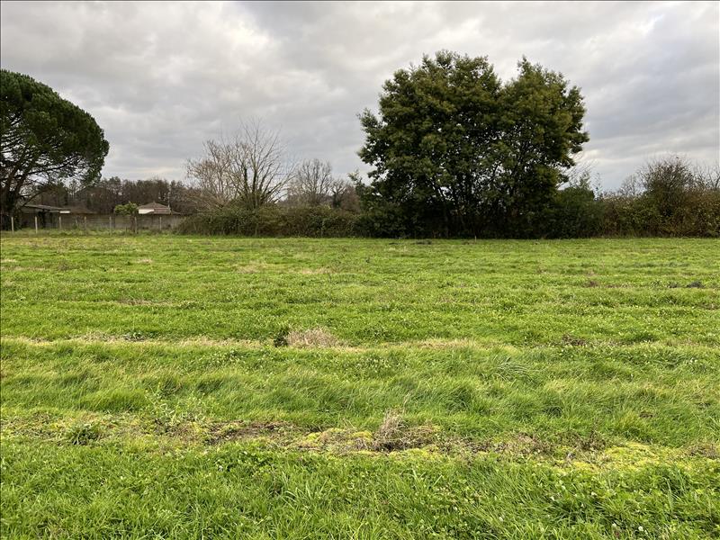 Vente Terrain GUITRES - -600 m² - (33230)