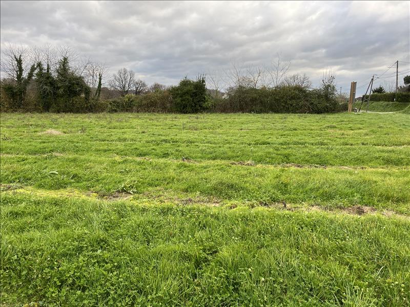 Vente Terrain GUITRES - -816 m² - (33230)