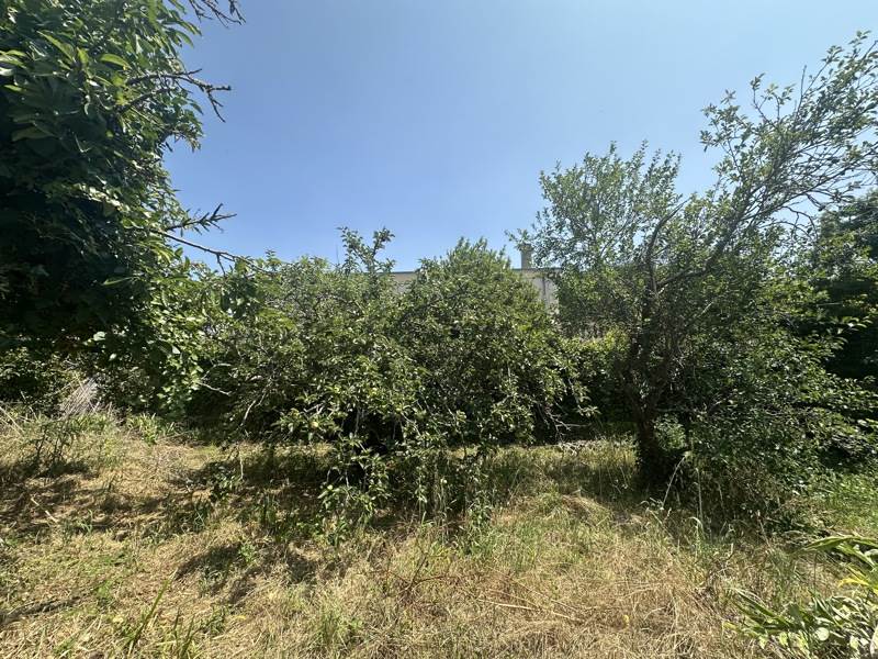 Vente Terrain LAGORD 17140  624 m²