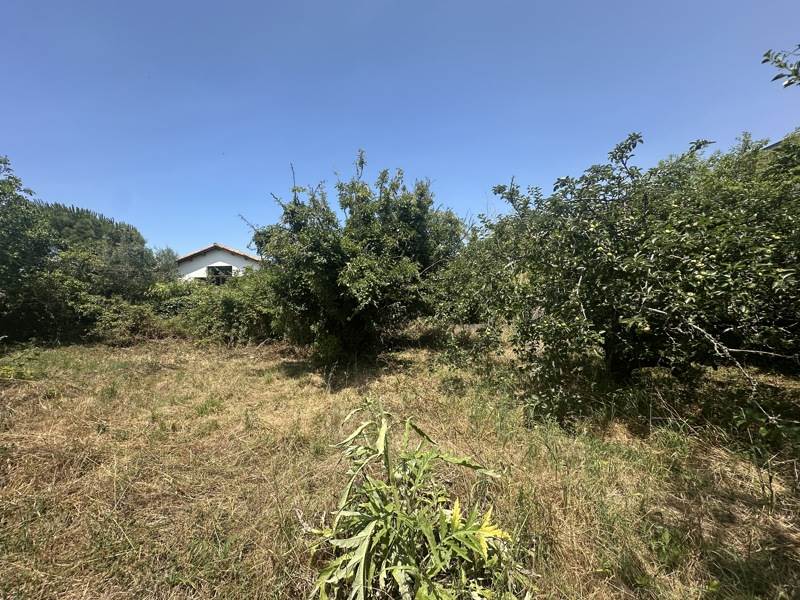 Terrain 299 m²