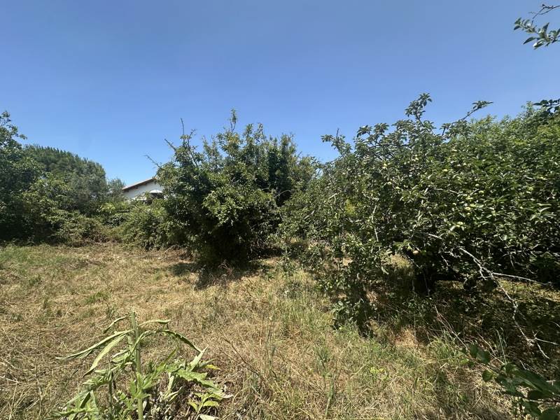 Vente Terrain LAGORD - -299 m² - (17140)