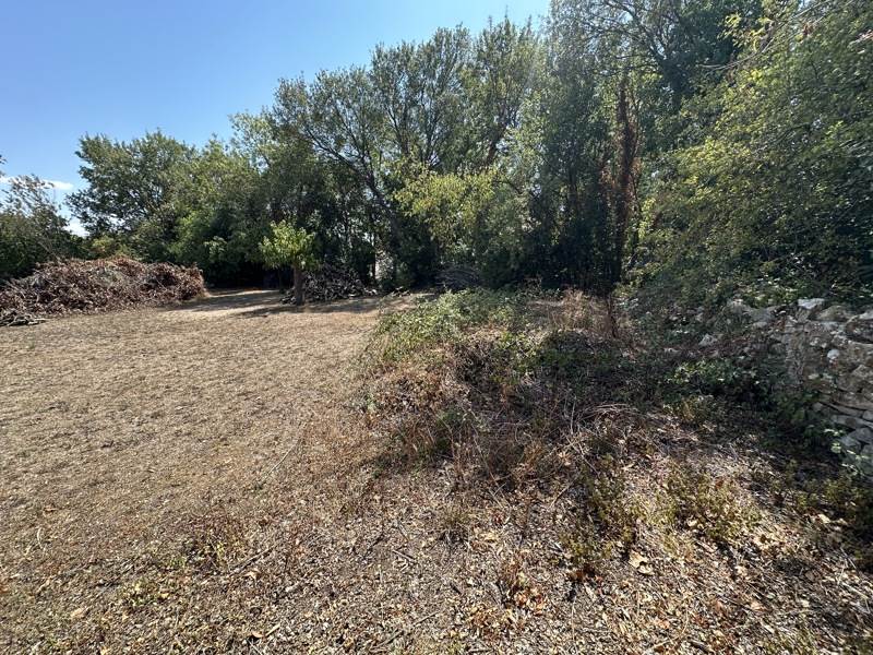 Vente Terrain NIEUL SUR MER - -614 m² - (17137)