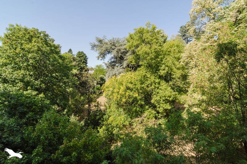 Vente Appartement LA MULATIERE - 3 pièces -63 m² - (69350)
