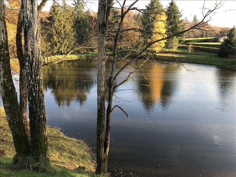 Vente Terrain ST LEGER BRIDEREIX - -9963 m² - (23300)