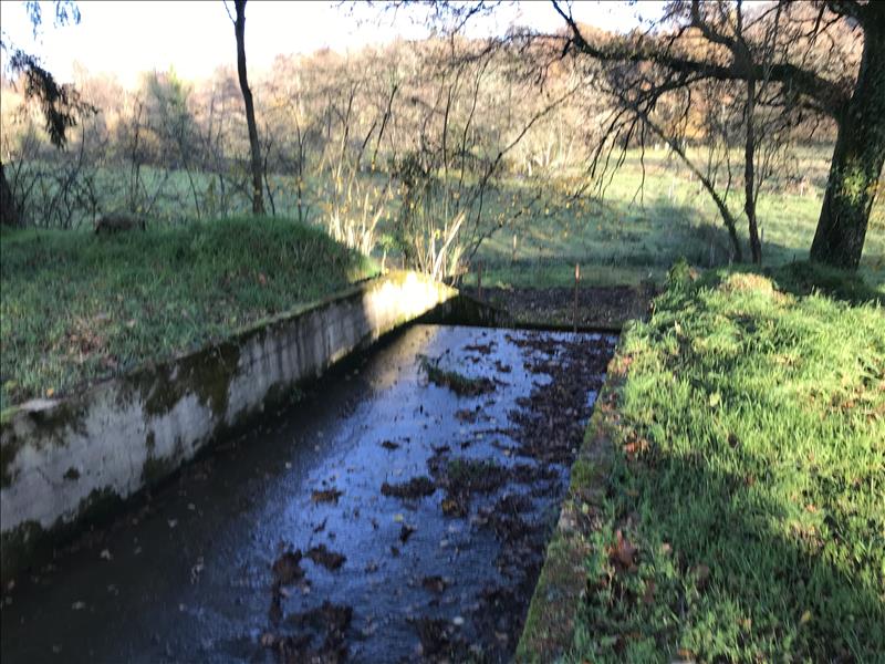 Vente Terrain ST LEGER BRIDEREIX - -9963 m² - (23300)