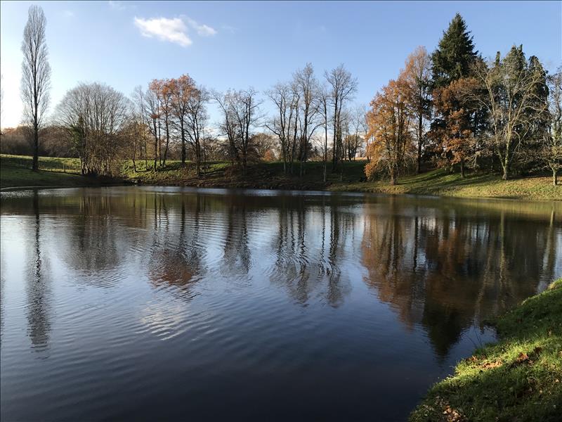 Vente Terrain ST LEGER BRIDEREIX - -9963 m² - (23300)