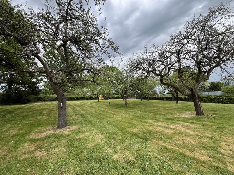 Vente Maison ST SULPICE LES FEUILLES - 5 pièces -105 m² - (87160)