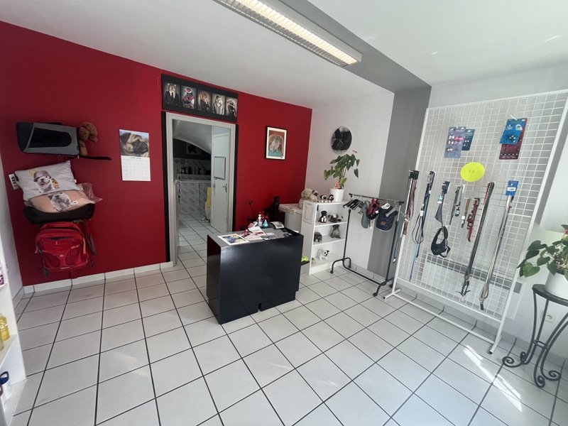 Vente Appartement LA SOUTERRAINE - 4 pièces -77 m² - (23300)