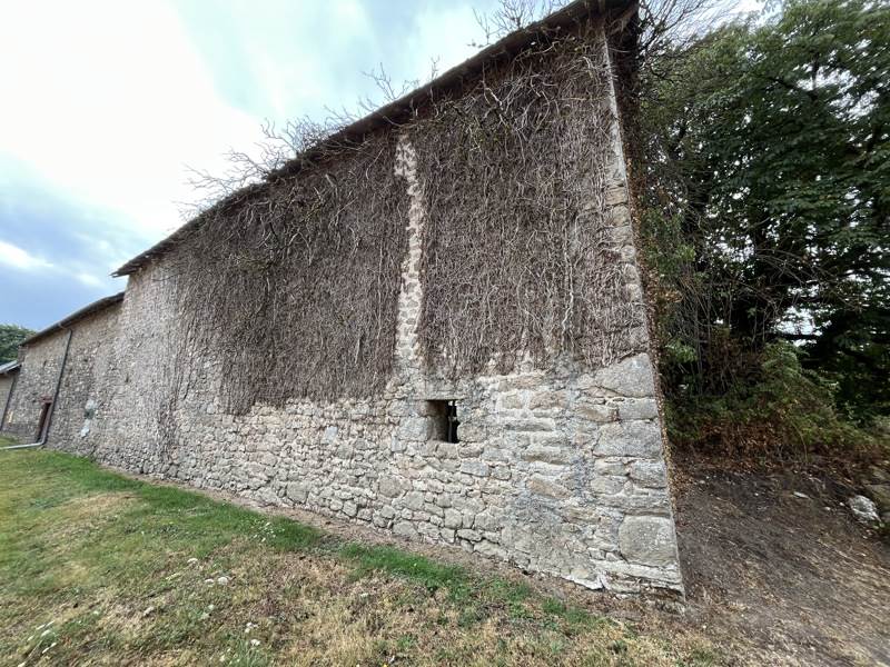 Vente Grange ST AGNANT DE VERSILLAT - 1 pièce -105 m² - (23300)
