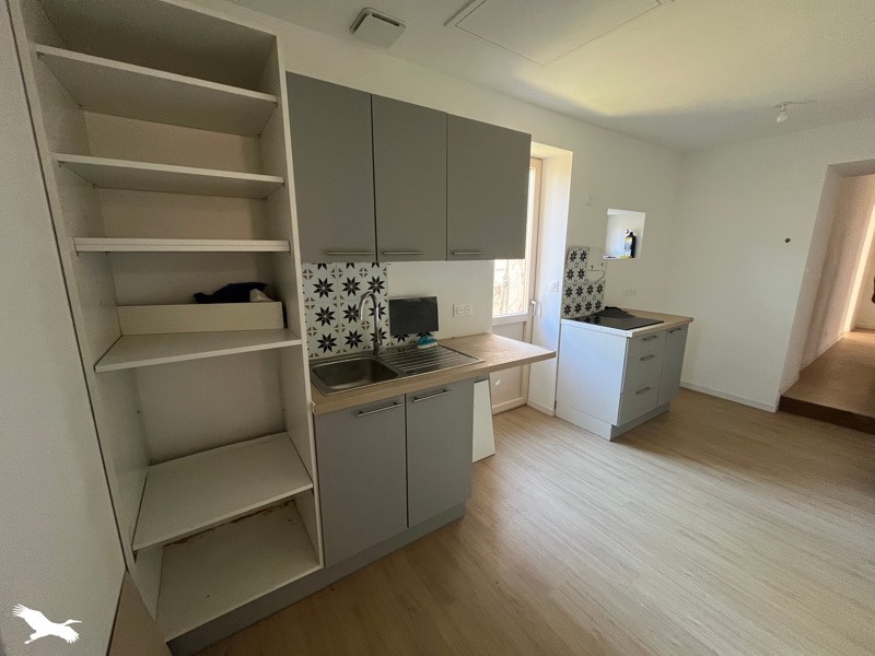 Vente Immeuble Saint-Sulpice-les-Feuilles - -  402 m² - (87160)