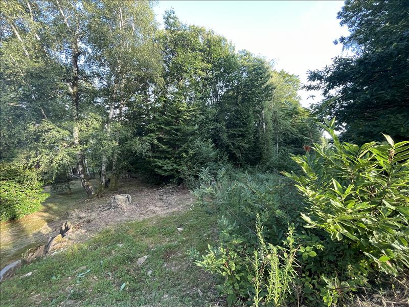 Vente Terrain AUBAZINES - -22176 m² - (19190)