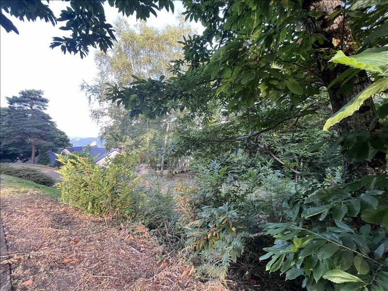 Vente Terrain AUBAZINES - -22176 m² - (19190)