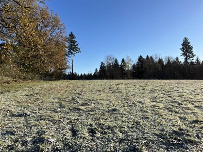 Vente Terrain PALAZINGES - -1742 m² - (19190)