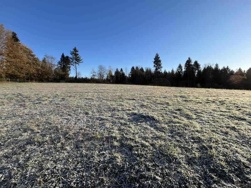 Vente Terrain PALAZINGES - -1742 m² - (19190)