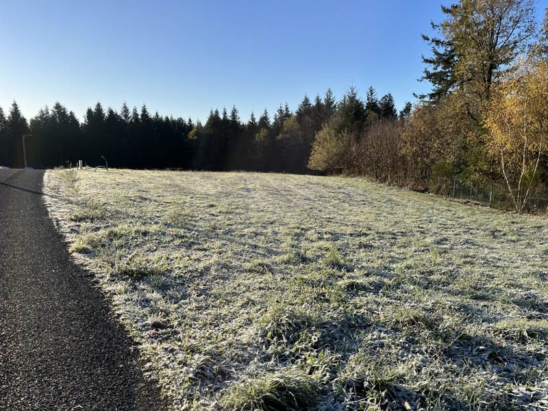 Vente Terrain PALAZINGES - -1793 m² - (19190)
