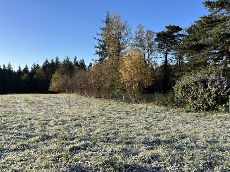 Vente Terrain PALAZINGES - -1680 m² - (19190)
