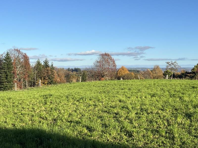 Vente Maison NEUVILLE - 3 pièces -65 m² - (19380)