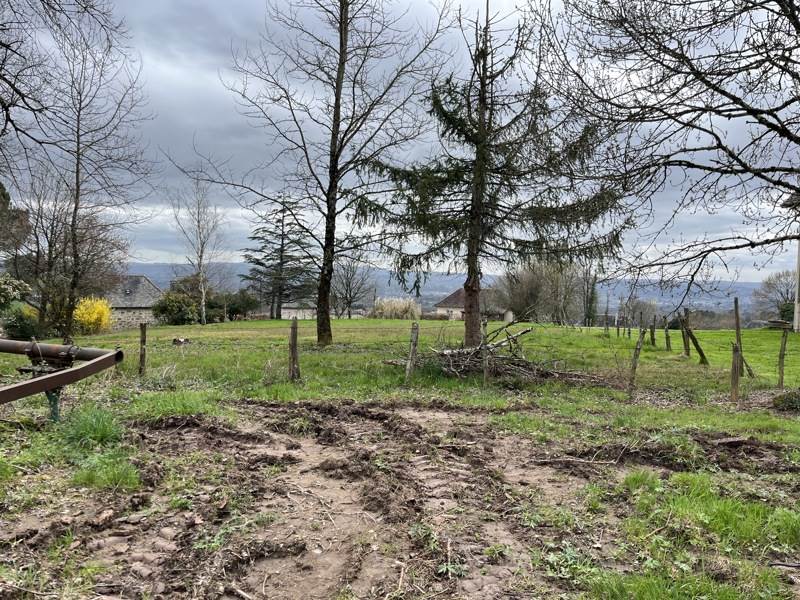 Vente Terrain STE FEREOLE - -1460 m² - (19270)