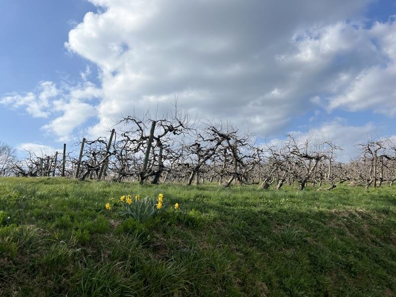 Vente Maison STE FEREOLE - 5 pièces -112 m² - (19270)