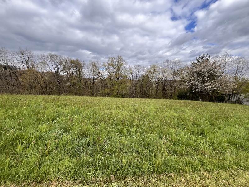 Vente Terrain STE FEREOLE - -2452 m² - (19270)