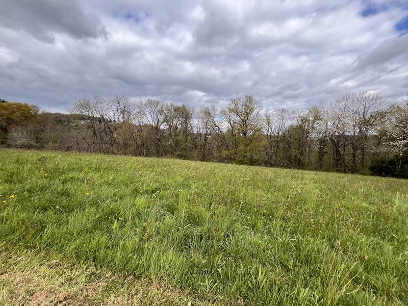 Vente Terrain STE FEREOLE - -2452 m² - (19270)
