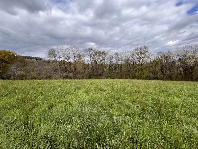 Vente Terrain STE FEREOLE - -2452 m² - (19270)